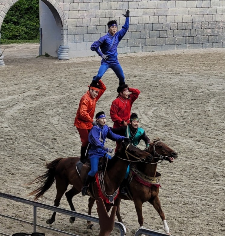 제주:[더마랜드] 공연, 승마 후기/ 눈앞에서 말타고 묘기하는데 어떻게 안 봐요?