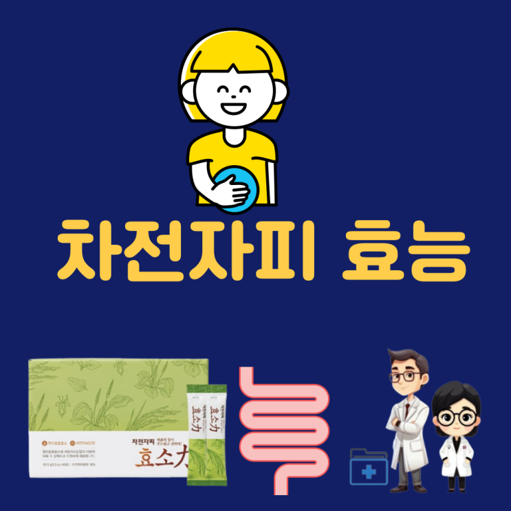  차전자피 효능 부작용 먹는법 하루 권장량 다이어트