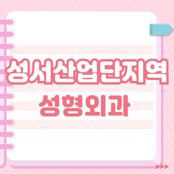  성서산업단지역 잘하는 성형외과 TOP 5, 일요일 전문의 블랙리스트 공개!
