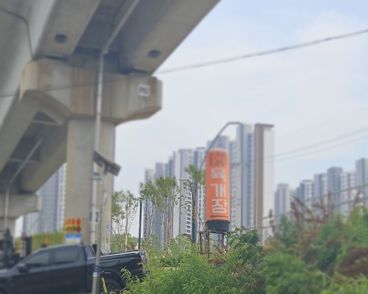  [인천 서구 점심맛집] 단풍나무  (찐)