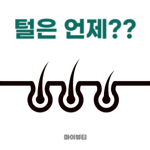  왁싱 후 털은 언제 올라오나요?? - 마산 왁싱 마이뷰티