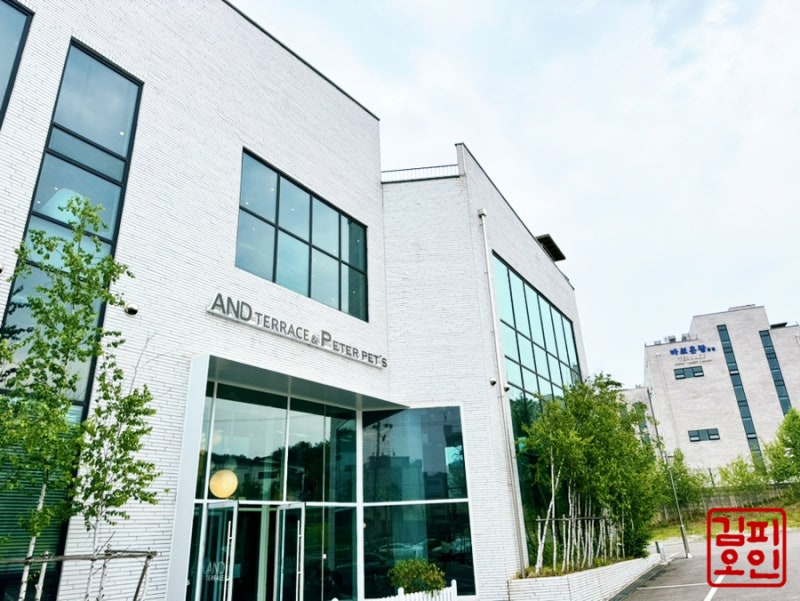 사진 4