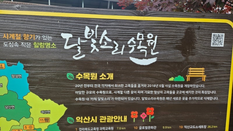 사진 3