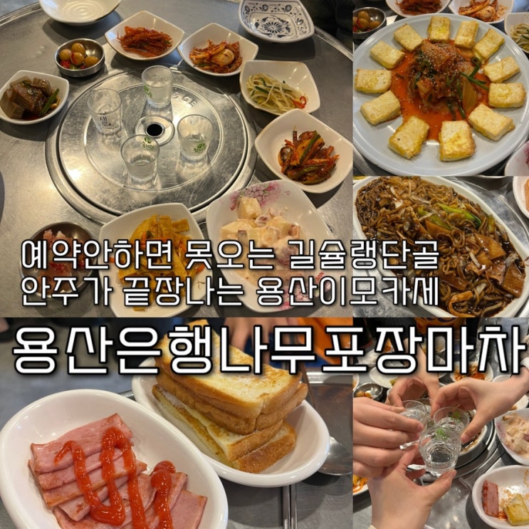  내돈내산 | 여긴 무조건 단체로 예약하고 오세요 길슐랭 N번째 찐단골, 끝없이 나오는 이모카세 안주로도 연료충전 쌉가능한 용산술집 “용산은행나무포차”