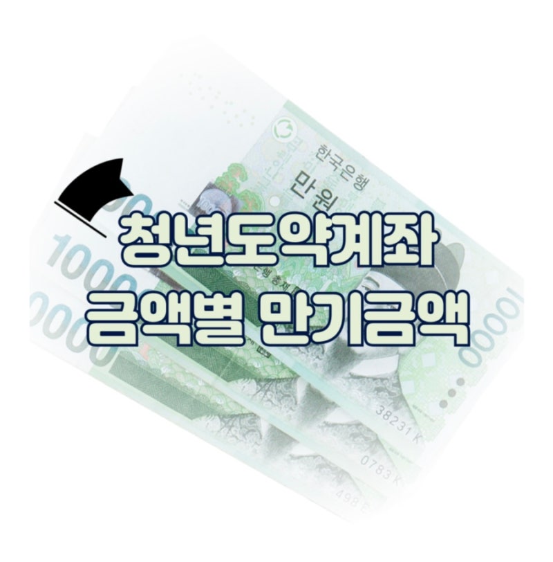 청년도약계좌 금액별 만기금액은 얼마? 이자 실수령액 계산 50만원 60만원 70만원 <개인적인 ....