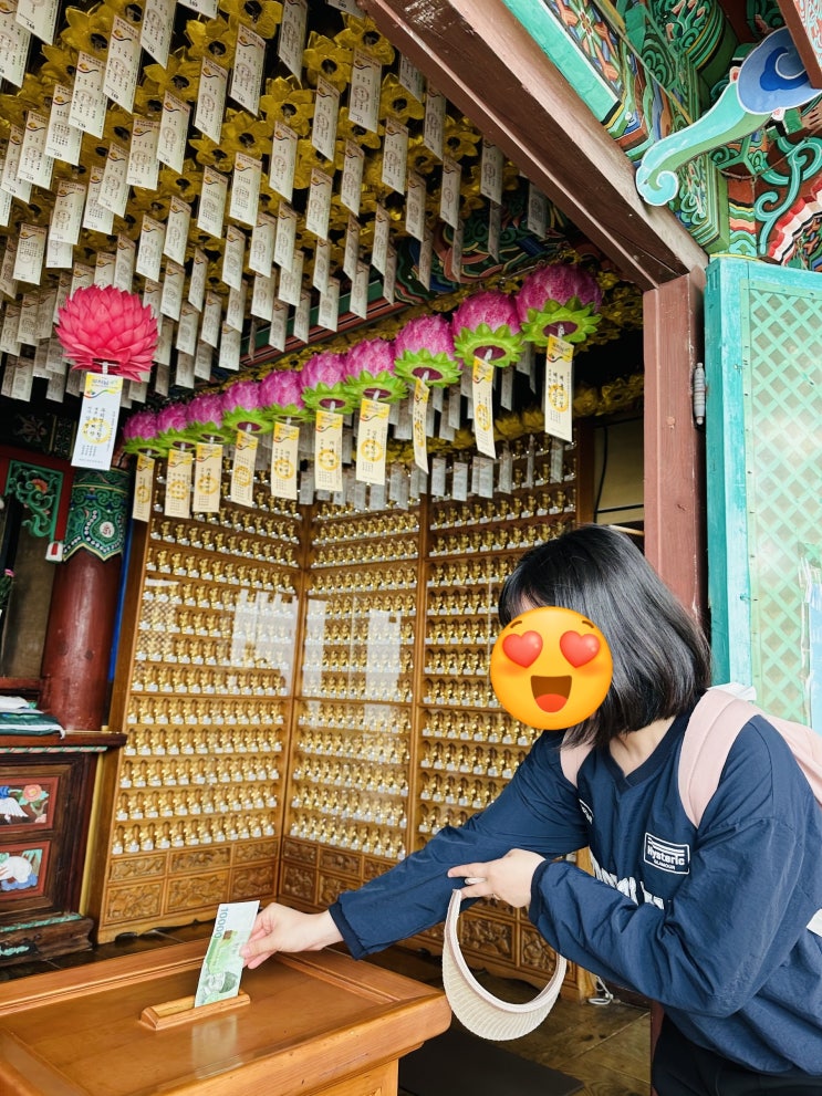  여수 여행 오동도&향일암 파전에 막걸리! 갓김치거리 구매