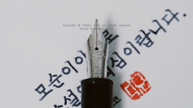  소설의 핵심 (몽블랑 요한스트라우스 M닙 만년필로 필사하기)