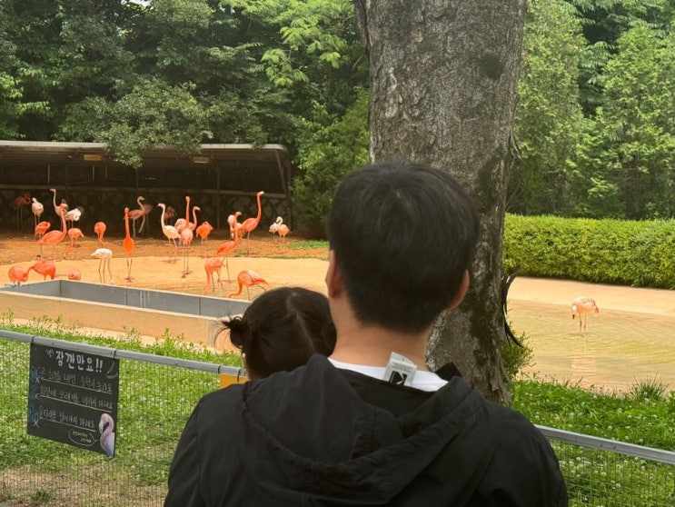  무더운 봄, 로나와 함께 서울대공원 동물원을을 다녀오다!