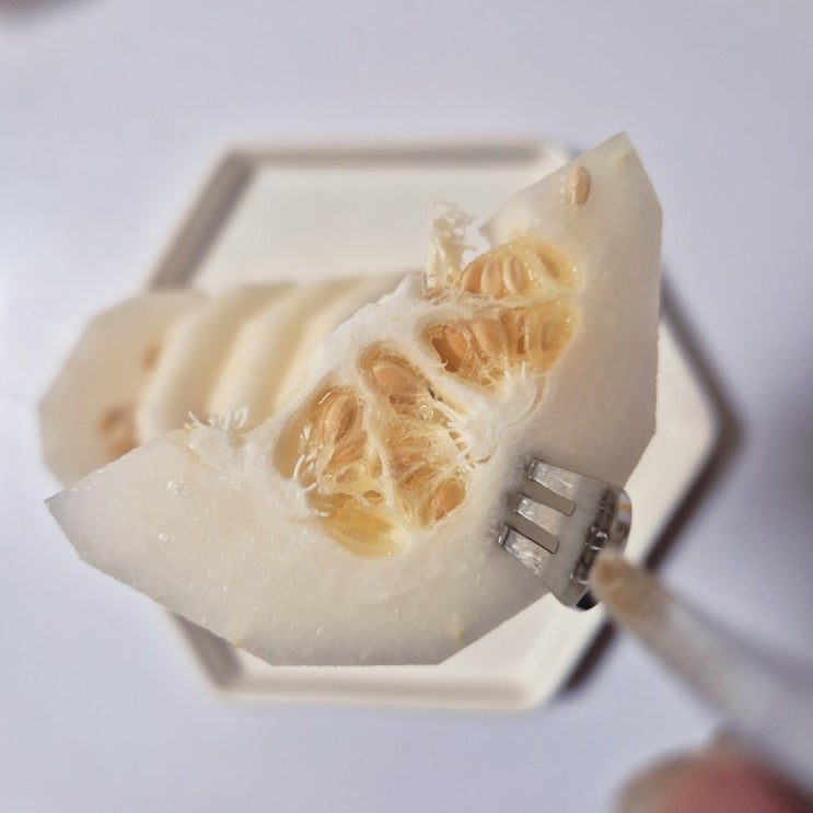  홈플러스 12브릭스 맛난이 성주참외 1.5kg 시식 후기 및 참외 깎아 먹는 법