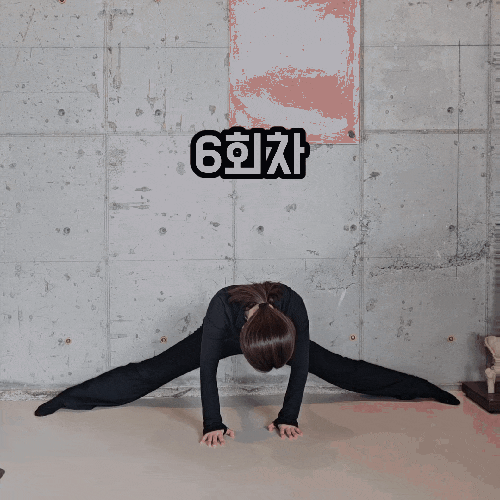 태권도 다리찢기 실제 후기 [입시준비]