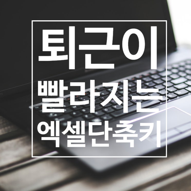  실무에 바로 적용하는 엑셀단축키모음
