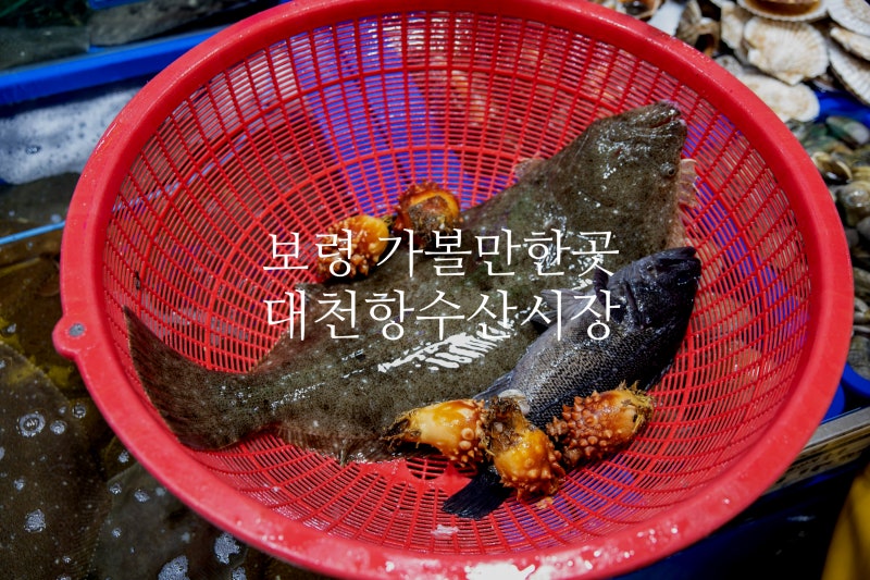 보령 가볼만한곳, 대천해수욕장 회센터 대천항수산시장(회포장 후기)