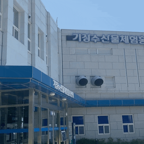  부산 아이랑가볼만한 곳 :: 기장 수산물체험홍보센터 (feat.어린이과학체험교실)