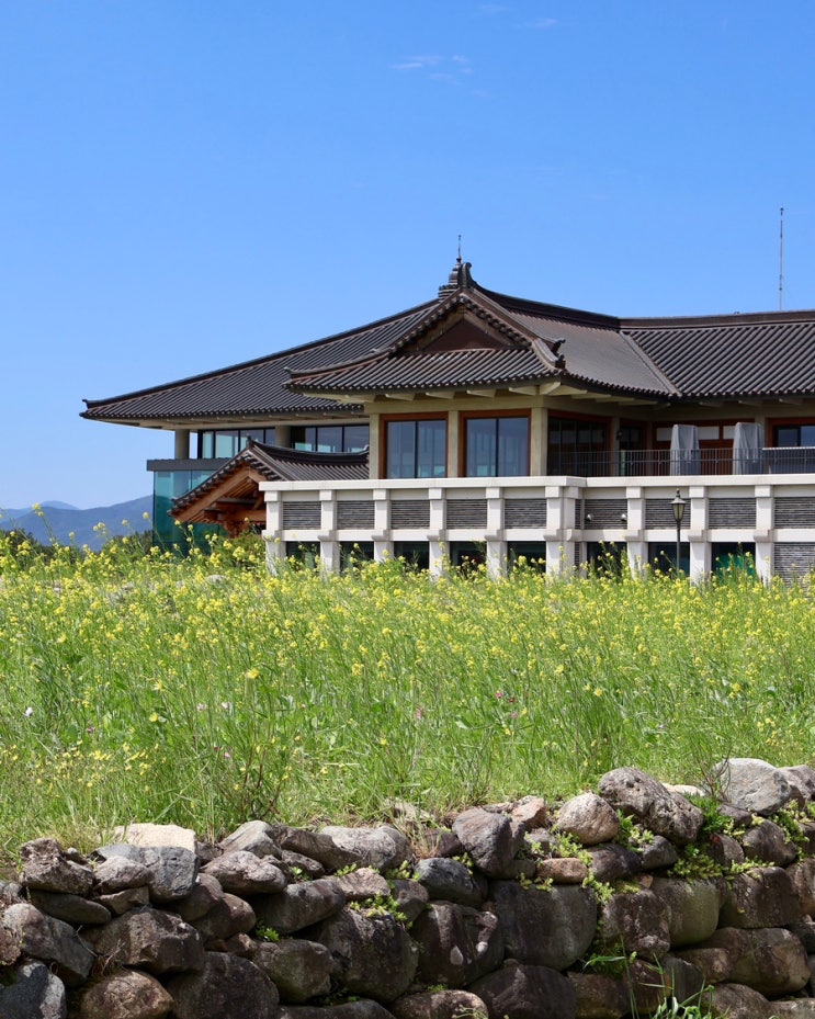  100년이 걸릴 인생의 과업을 생각해 본 적 있나요? (경주여행, 황룡사 구층탑, 경주 일본라멘 맛집 대호당)