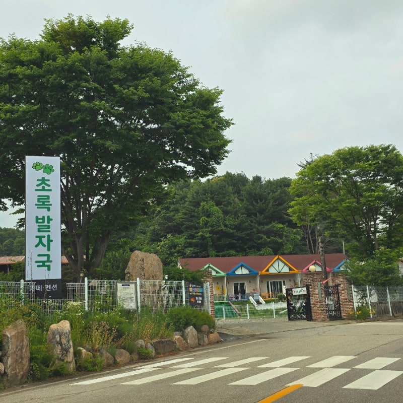 사진 10