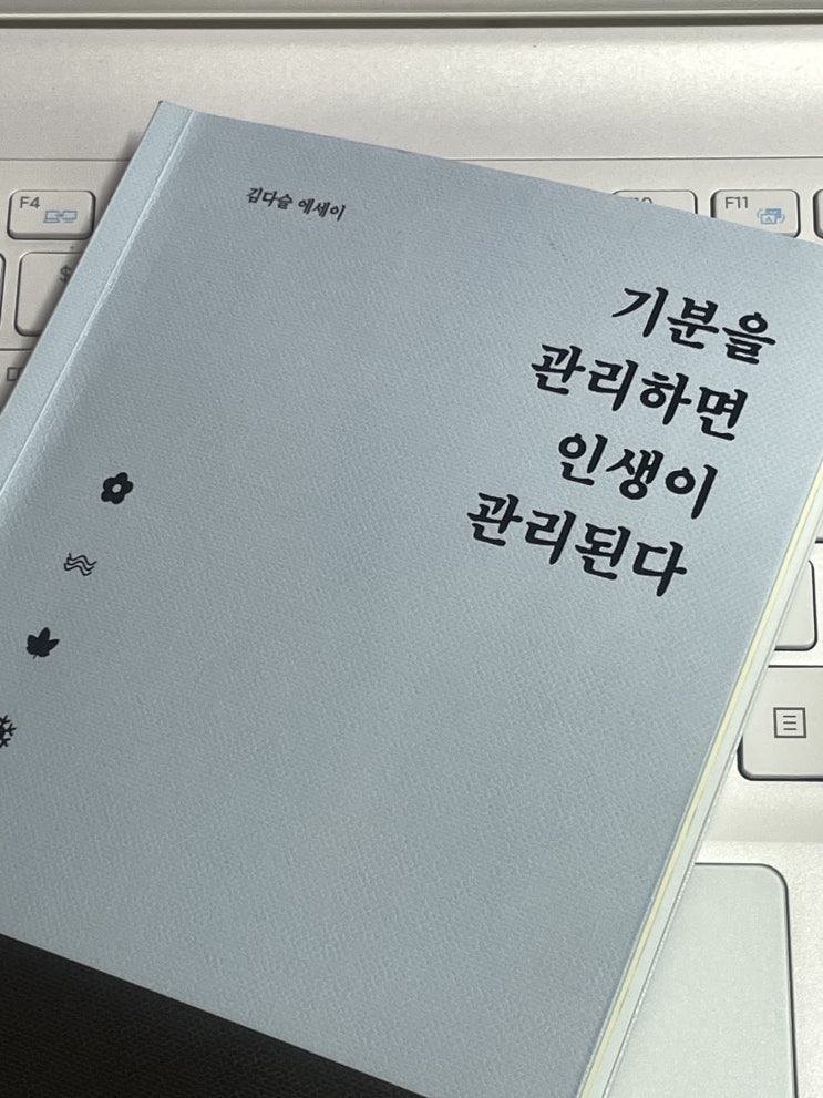  에세이 추천 - 기분을 관리하면 인생이 관리된다. - 저자 김다솔 작가님