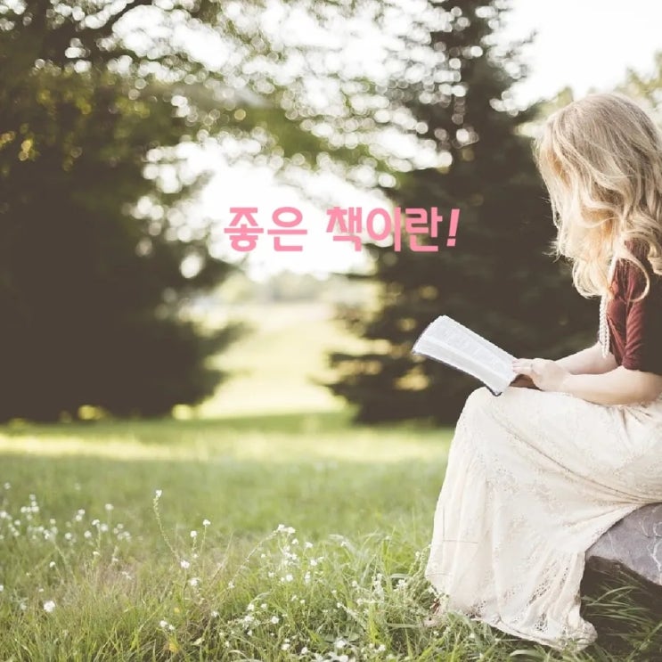 좋은 책이란_ 그림책의 정의,그림책 역사 특징과 교육적 가치 좋은 책이란_ 그림책의 정의,그림책 역사 특징과 교육적 가치