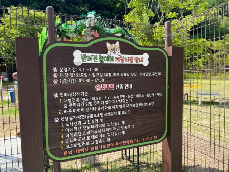 사진 4