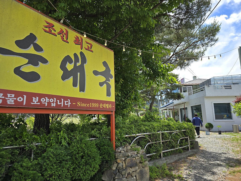 순대렐라 사진 6