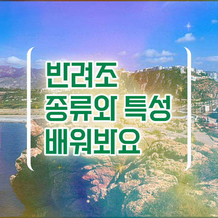  모란앵무 말 , 반려조관리사 자격증 준비한 과정 여기서 확인하세요