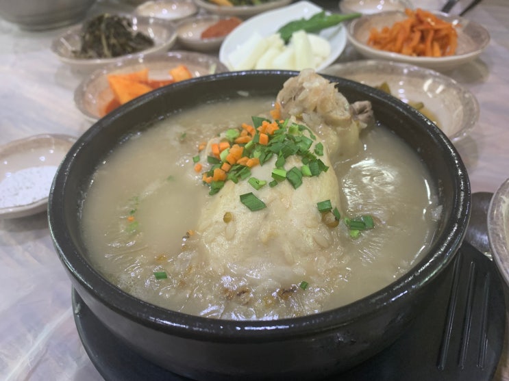 충남 당진 <솥밭가든> 녹두삼계탕