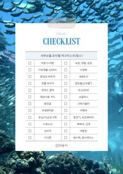 보홀 여행을 위해 무엇을 준비해야 할까요? 추천해주신 필리핀 심카드와 E-SIM 로밍 추천을 모두 사용해봤습니다.ᐟ