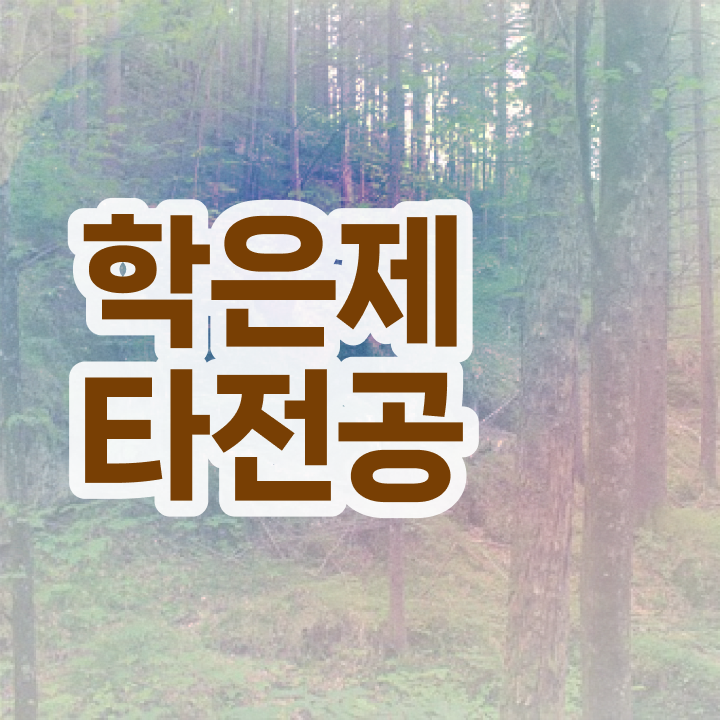  전문대 학점은행제 , 학은제 멘토 추천받고 희망하던 학사 학위 얻었어요