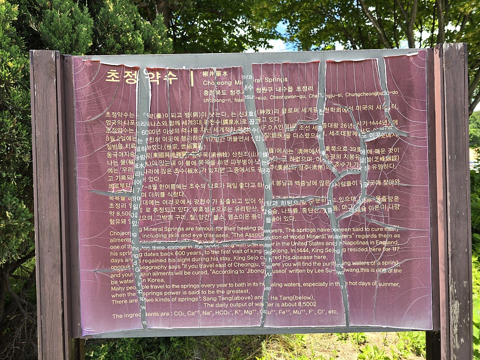 순대렐라 사진 4