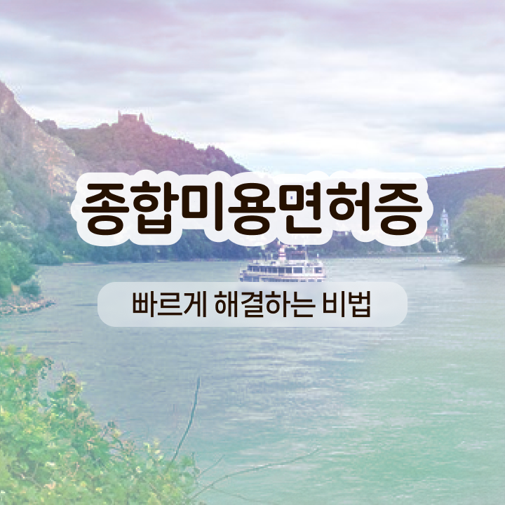  눈썹반영구학원 , 눈썹문신 창업 시작할 때, 알고 있어야 하는 면허증 과 전략