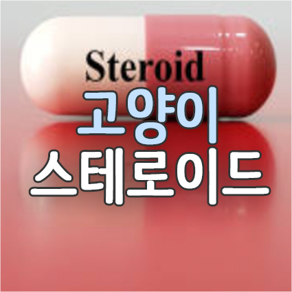  고양이와 개(강아지) 스테로이드 부작용 및 주의사항과 복용법(프레드니손·프레드니솔론)
