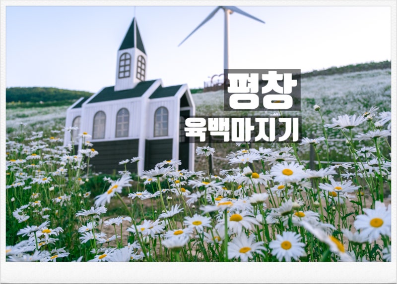 사진 7