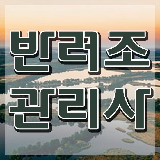  사랑앵무 수명 , 반려조관리사 자격증 취득한 정보 정리해드립니다
