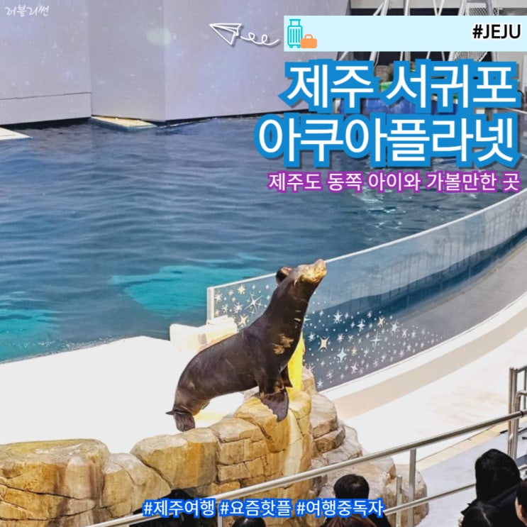  제주 서귀포 가볼만한 곳 아이와 동쪽 아쿠아플라넷 제주