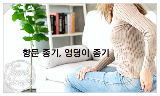  항문종기 엉덩이종기 다른 질환일 수도