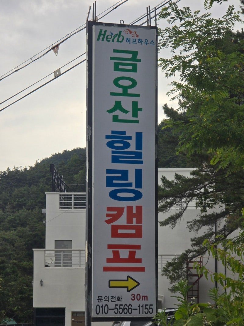 사진 3