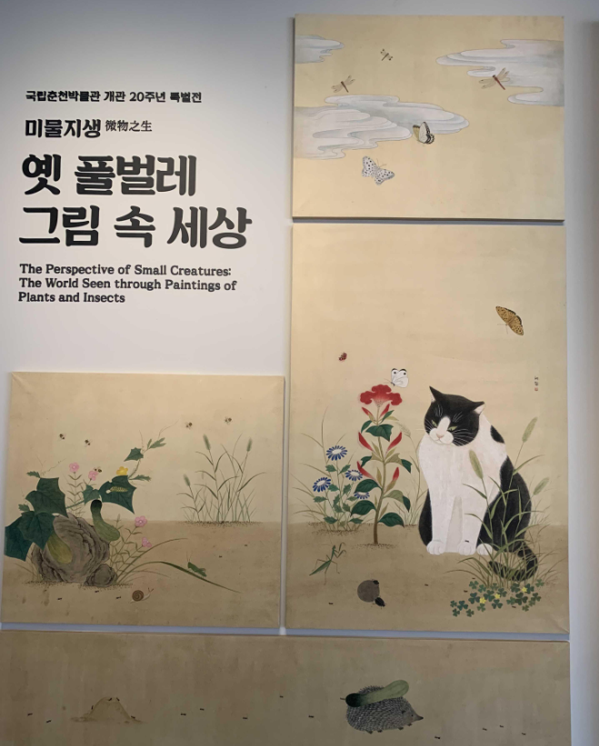  국립춘천박물관 개관 20주년 특별전 미물지생 - 옛 풀벌레 그림 속 세상