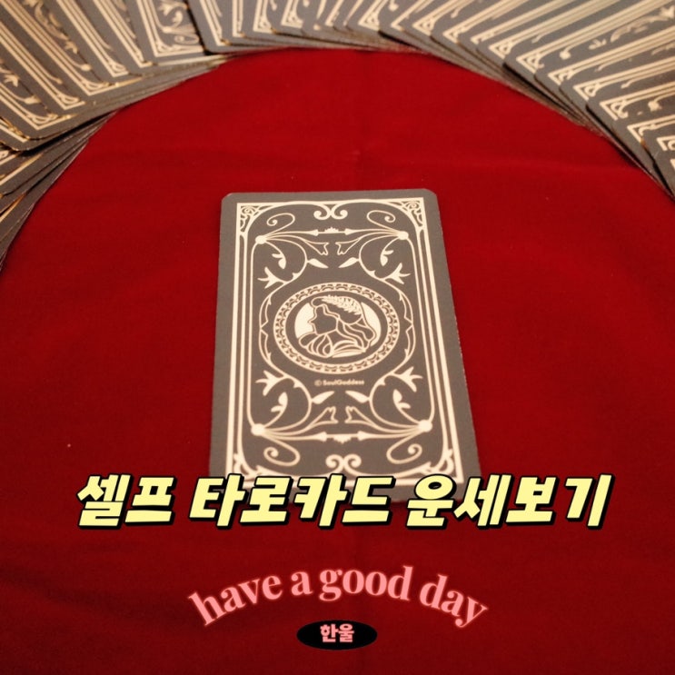  타로카드추천! 오라클카드 운세보기
