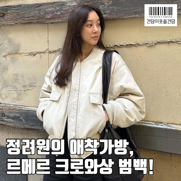  연예인 정려원 최애 명품백은 르메르 크로와상 백