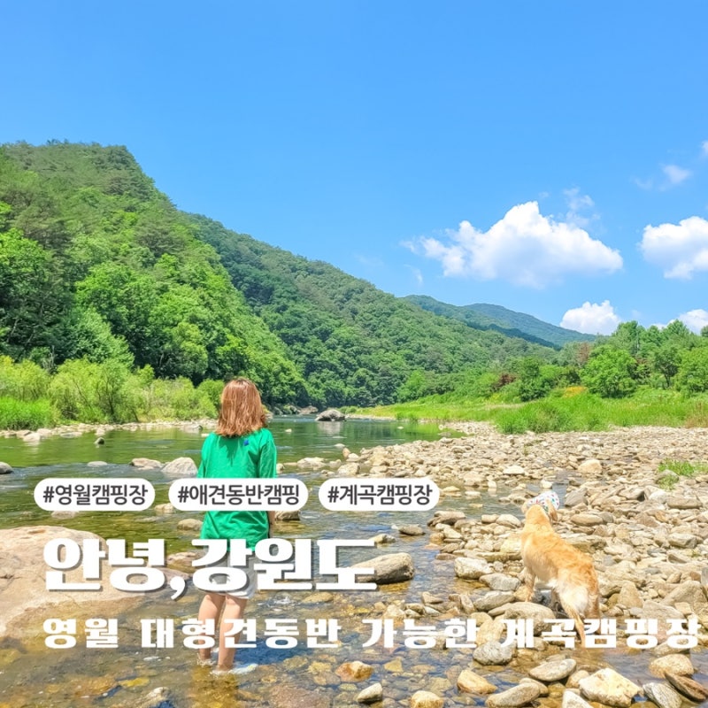 사진 7