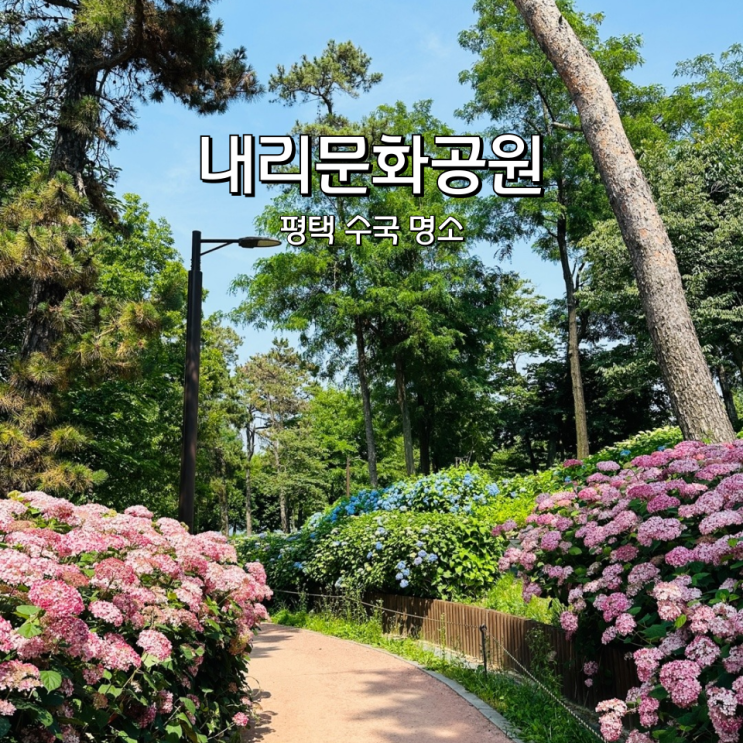  평택 내리문화공원 수국 축제도 열리는 명소