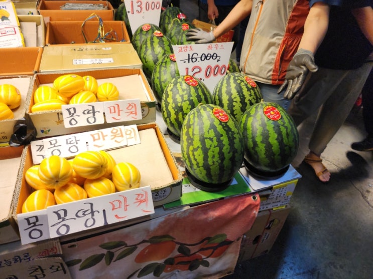  삼산농산물도매시장 6월 4주차 과일 채소 가격 정보