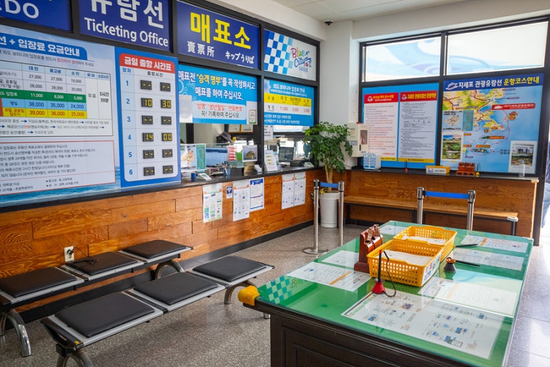 사진 5