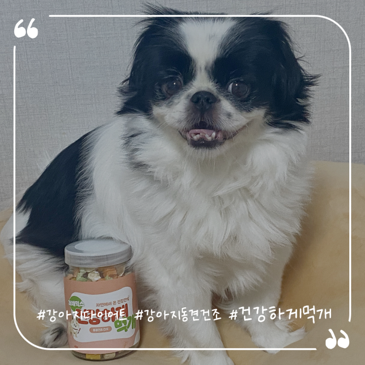  강아지다이어트간식 동결건조간식추천 원물그대로 건강하개먹개