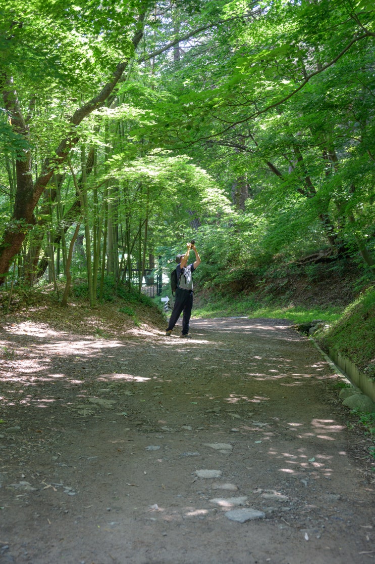 2박 3일 사진여행 3. 부산 기장 철마 아홉산숲