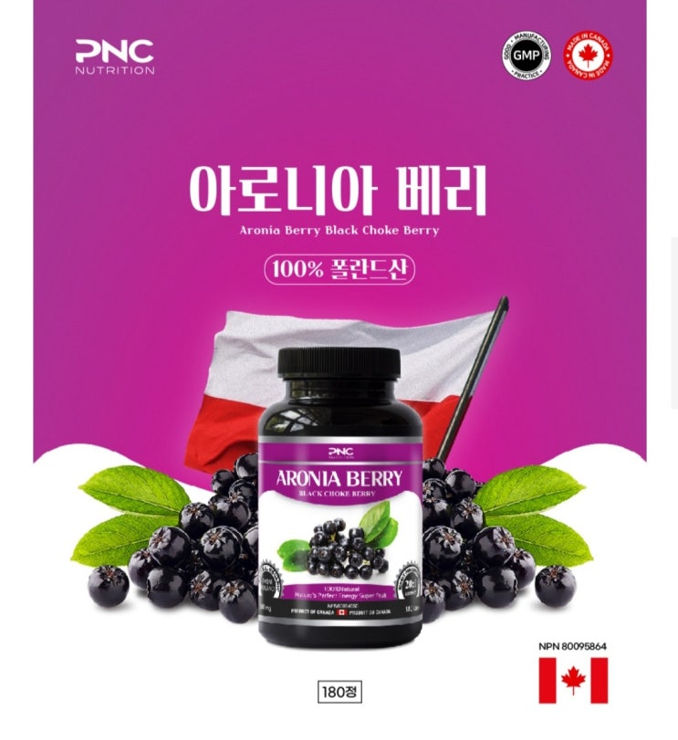  아로니아 베리 폴란드산