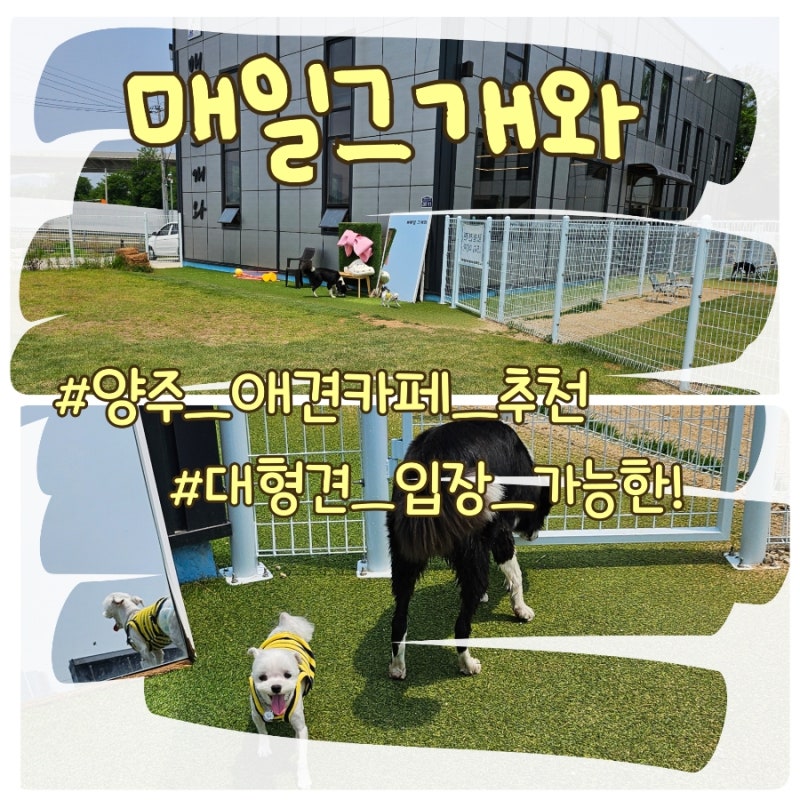 사진 4