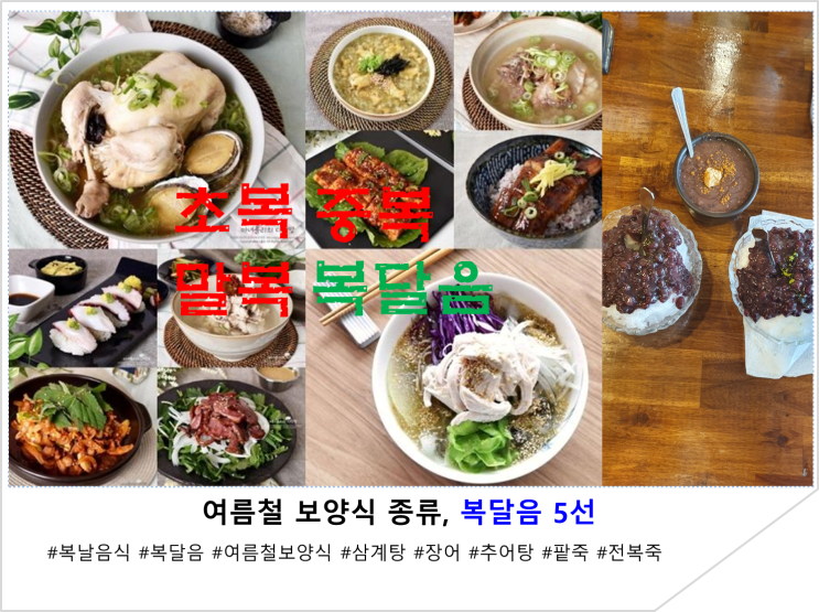  여름철 보양식 종류,복달음 5선