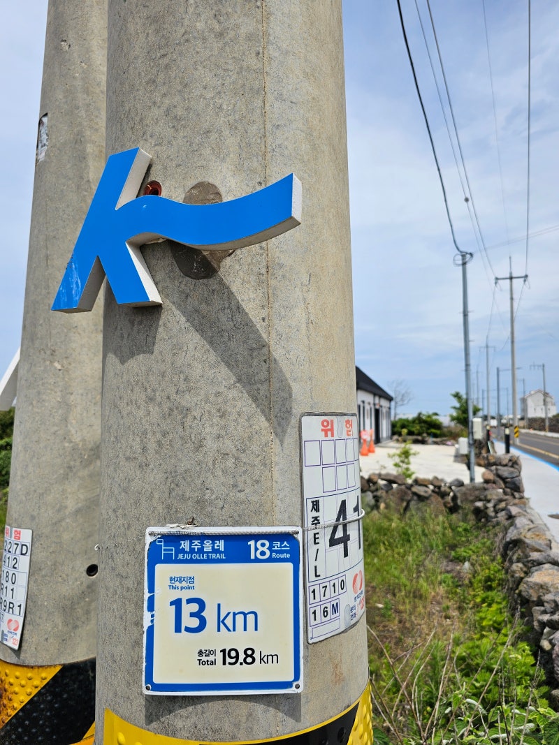 24.5.27.월(제주올레18코스) : 네이버 블로그