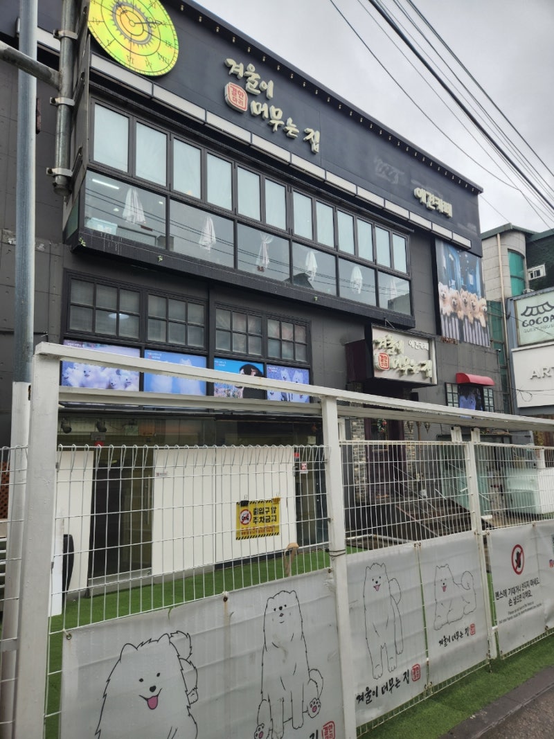 사진 2