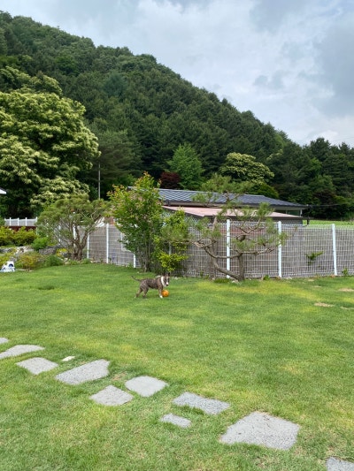 사진 7